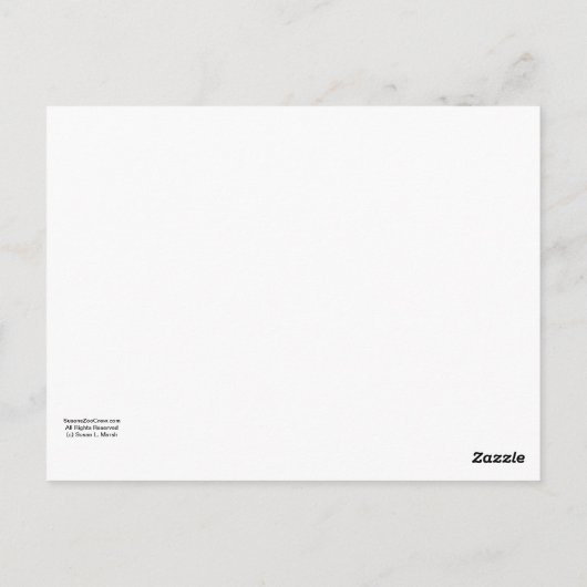 Dolphin Kopf in Wasser Postkarte (Rückseite)