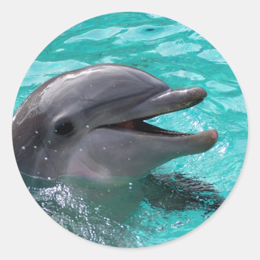 Dolphin Kopf in Wasser Runder Aufkleber (Vorderseite)