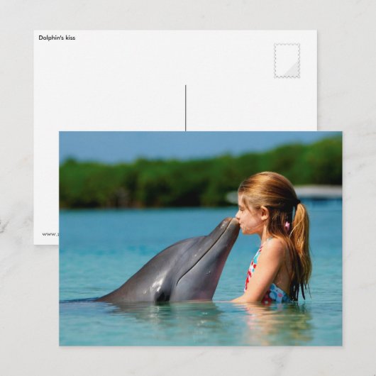 Dolphin-Kuss Postkarte (Vorne/Hinten)