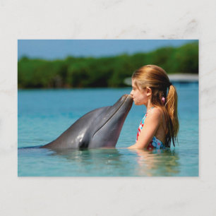 Dolphin-Kuss Postkarte