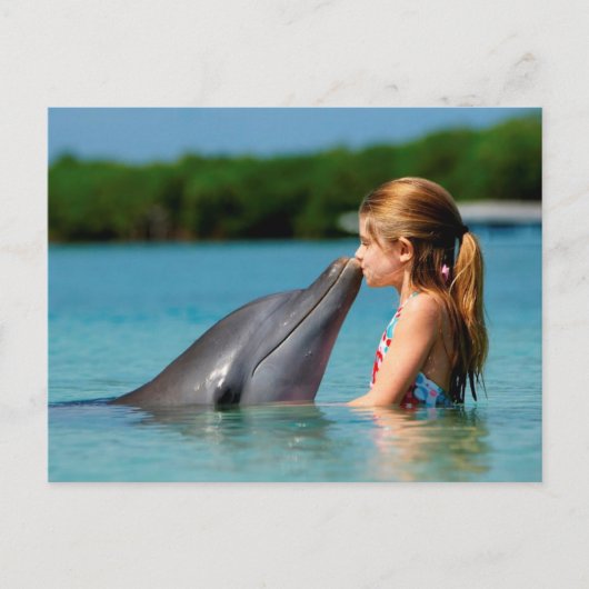 Dolphin-Kuss Postkarte (Vorderseite)