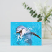 Dolphin Lächeln 2 Postkarte (Stehend Vorderseite)