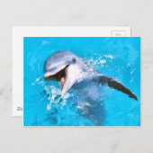 Dolphin Lächeln 2 Postkarte (Vorne/Hinten)