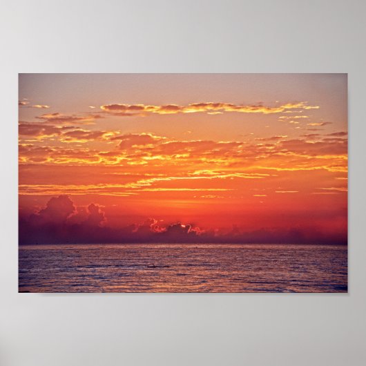 Dolphin Leaping bei Sonnenaufgang Poster (Vorne)