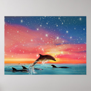 Dolphin Leaping Weiße See und Sterne Poster