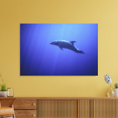 Dolphin Leinwanddruck (Insitu (Wohnzimmer))