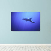 Dolphin Leinwanddruck (Insitu (Holzboden))
