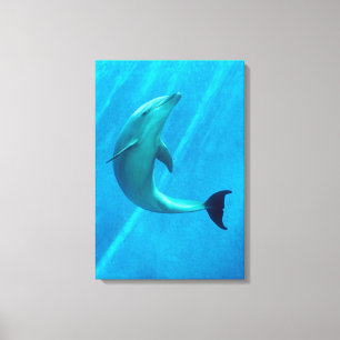 Dolphin Leinwanddruck