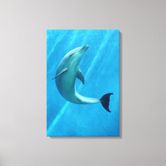 Dolphin Leinwanddruck (Vorderseite)
