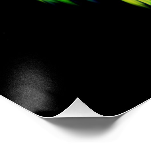 Dolphin-Liebe Poster (Ecke)