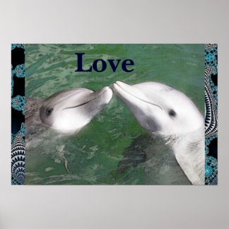 Dolphin Liebe Poster