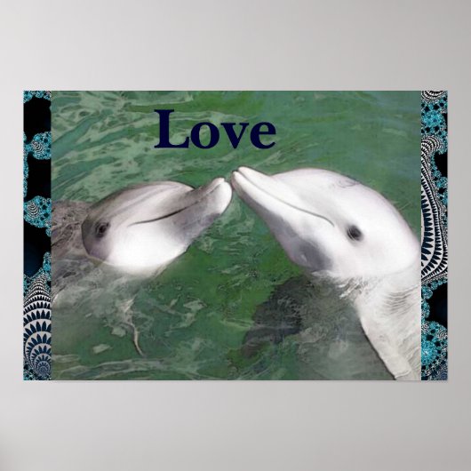 Dolphin Liebe Poster (Vorne)