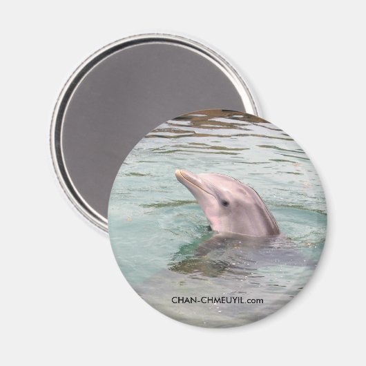 Dolphin Magnet (Vorderseite/Rückseite)