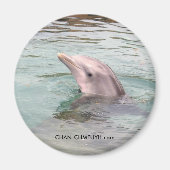 Dolphin Magnet (Vorne)