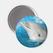 Dolphin Magnet (Vorderseite/Rückseite)