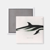 Dolphin Magnet (Vorderseite/Rückseite)