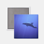 Dolphin Magnet (Vorderseite/Rückseite)