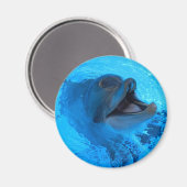 Dolphin Magnet (Vorderseite/Rückseite)