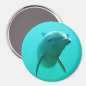 Dolphin Magnet (Vorderseite/Rückseite)