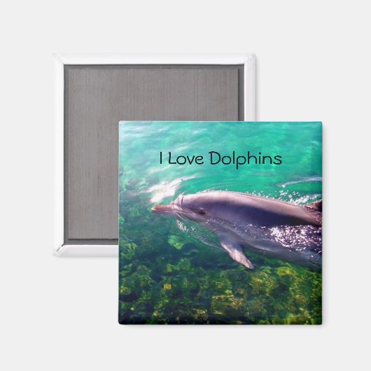 Dolphin Magnet (Vorderseite/Rückseite)