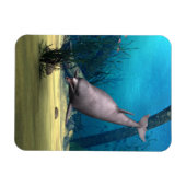 Dolphin Magnet (Horizontal)