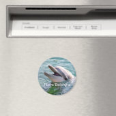 Dolphin Magnet (In Situ (Geschirrspüler))