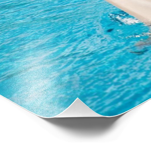 Dolphin mit Kugel Fotodruck (Ecke)