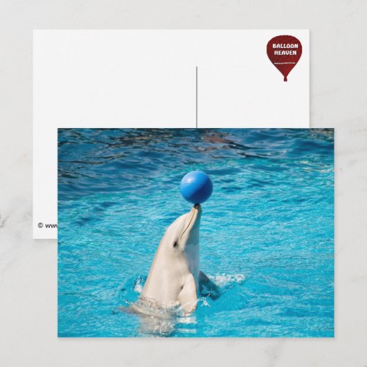 Dolphin mit Kugel Postkarte (Vorne/Hinten)