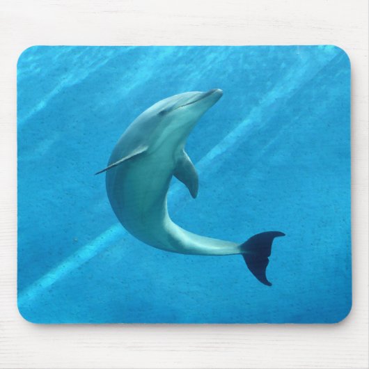 Dolphin Mouse Pad Mousepad (Vorne)