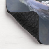 Dolphin Mousepad (Ecke)
