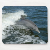 Dolphin Mousepad (Vorne)