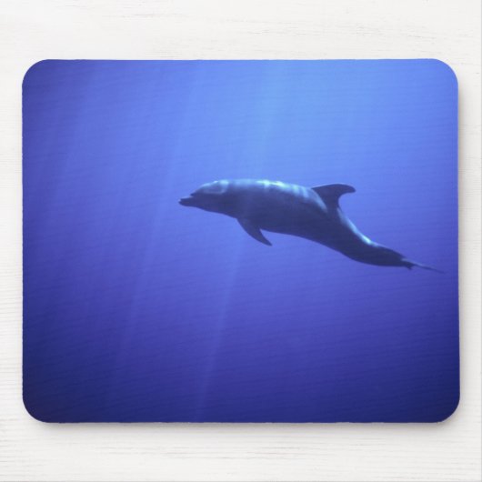 Dolphin Mousepad (Vorne)