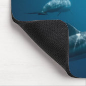 Dolphin Mousepad (Ecke)