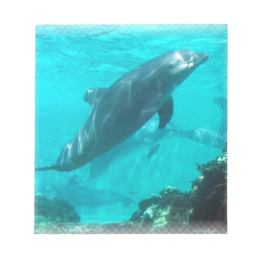 Dolphin Notepad Notizblock (Vorderseite)