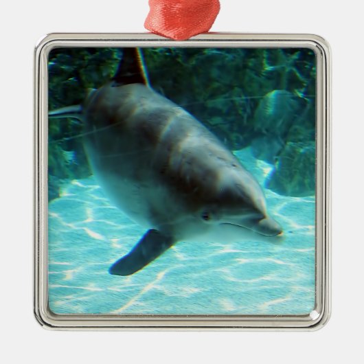 Dolphin Ornament Aus Metall (Vorne)