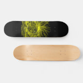 Dolphin-Paar im Sonnenschein Skateboard (Horizontal)
