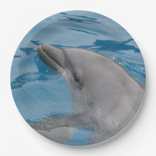 Dolphin-Papier-Teller Pappteller (Vorderseite)