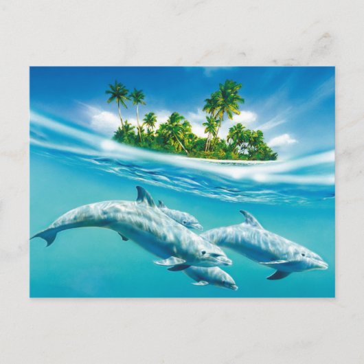 Dolphin-Paradies Postkarte (Vorderseite)