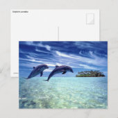 Dolphin-Paradies Postkarte (Vorne/Hinten)