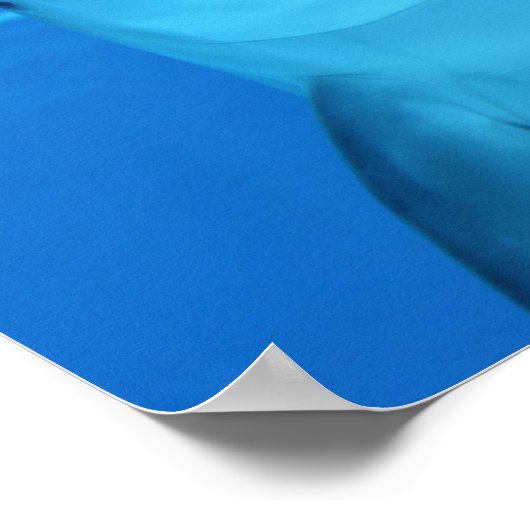 Dolphin-Plakat Poster (Ecke)