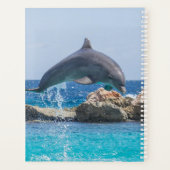 Dolphin Planer (Rückseite)