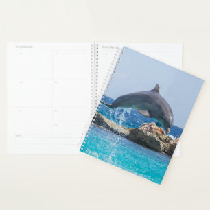 Dolphin Planer