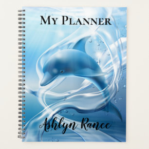 Dolphin Planer
