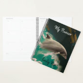 Dolphin Planer (Anzeige)