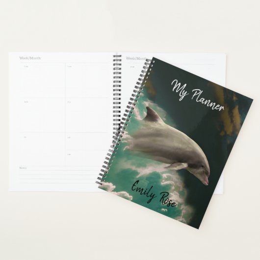 Dolphin Planer (Anzeige)