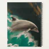 Dolphin Planer (Rückseite)