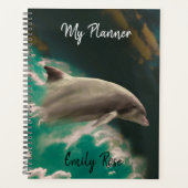 Dolphin Planer (Vorderseite)