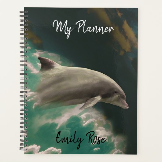 Dolphin Planer (Vorderseite)