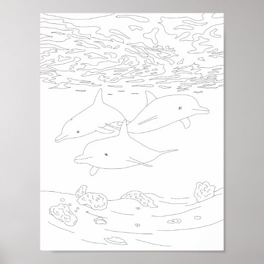 Dolphin Pod Aduloring Poster (Vorne)