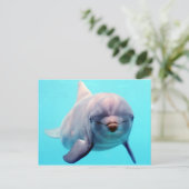 Dolphin-Portrait Postkarte (Stehend Vorderseite)